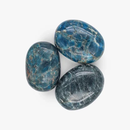 Apatite Palm Stone Wholesale