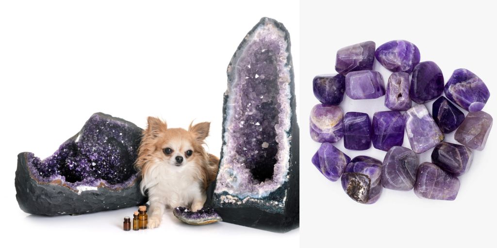 Amethyst Crystals for Pets