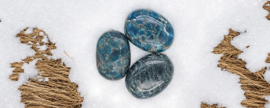 Apatite Palm Stone Wholesale