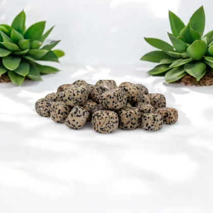 Dalmatian Tumbled Stone - Image 2