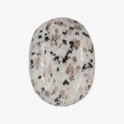 Kiwi Jasper Palm Stone wholesale