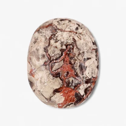Money Agate Palm Stone Wholesale