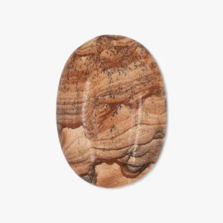 Picture Jasper Palm Stone Wholesale