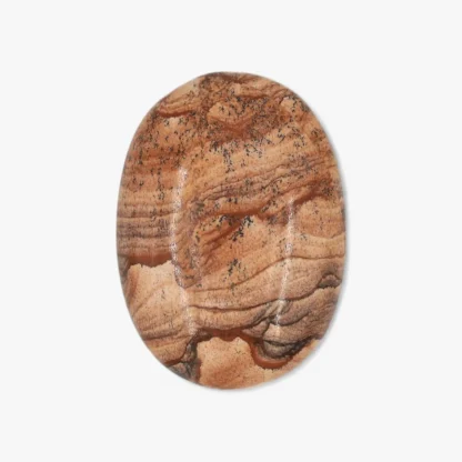 Picture Jasper Palm Stone Wholesale