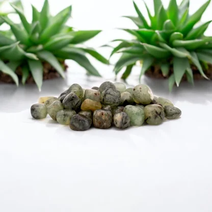 Prehnite Tumble Wholesale