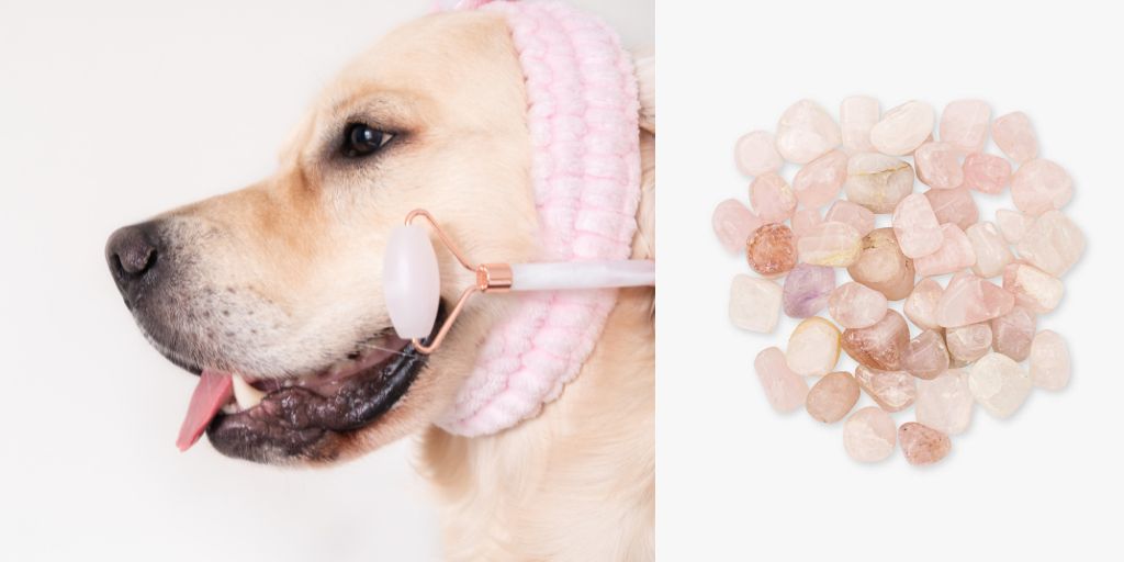 Rose Quartz Crystals For Pets