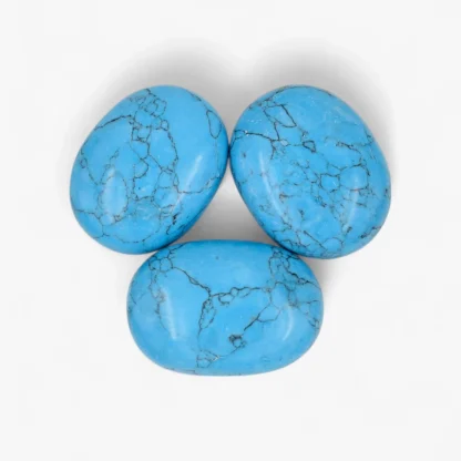 Turquoise Palm Stone Wholesale