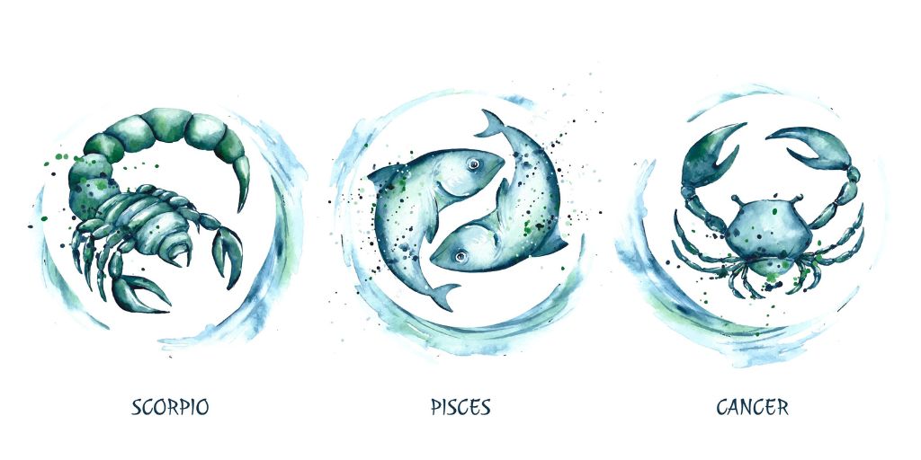 Water Signs: Cancer, Scorpio, Pisces