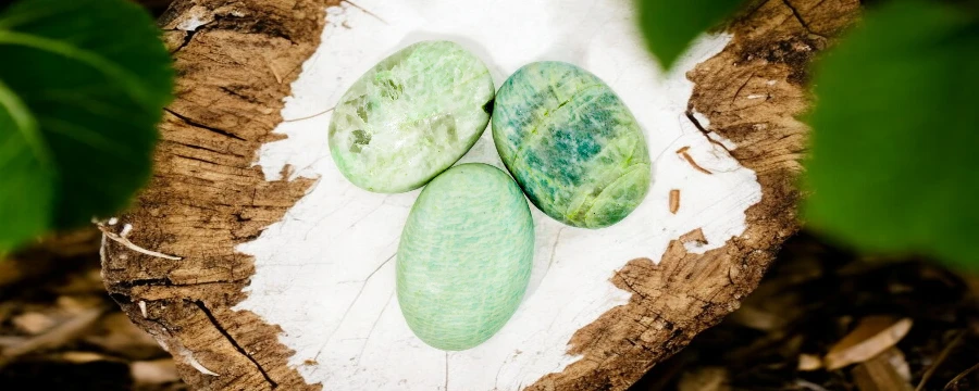 Wholesale Amazonite Palm Stone