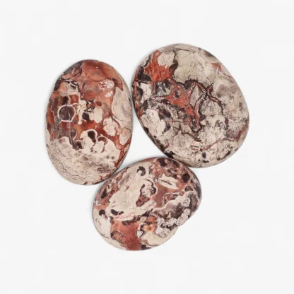 Money Agate Palm Stone - Image 2