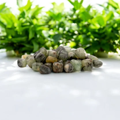 Wholesale Prehnite Tumbled Stone