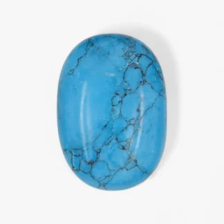 Wholesale Turquoise Palm Stone