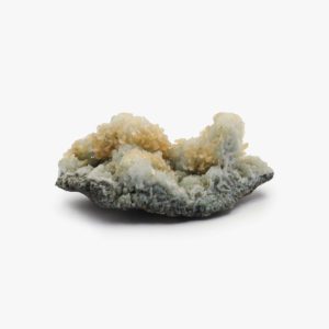 Druzy Chalcedony Coral Wholesale