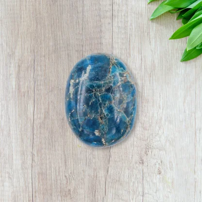 Apatite palm Stone Wholesale